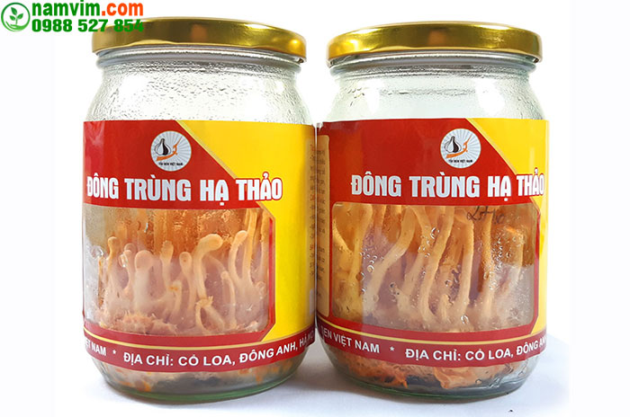 Dong Trung Ha Thao Tuoi Viet Nam Nuoi Cay