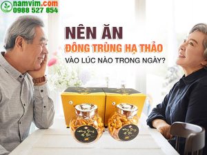 Nen An Dong Trung Ha Thao Vao Luc Nao La Tot Nhat