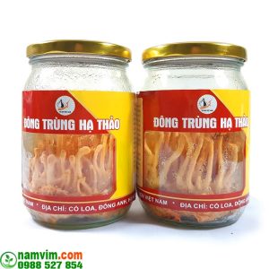 Dong Trung Ha Thao Tuoi Nuoi Cay Co Rat Nhieu Tac Dung Boi Bo Co The Tang Cuong He Mien Dich