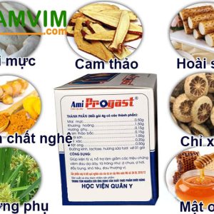 Thanh Phan Thao Duoc Com Amiprogast