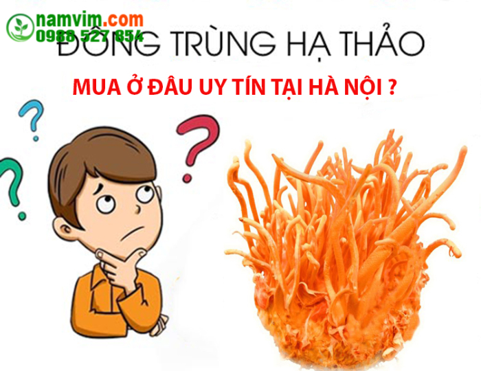 Noi Ban Dong Trung Hạ Thao Tai Ha Noi Uy Tin
