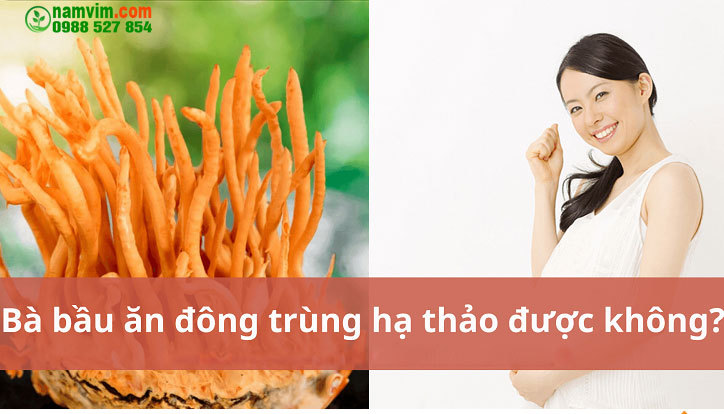 Phu Nu Mang Thai Uong Duoc Dong Trung Ha Thao Co Duoc Khong
