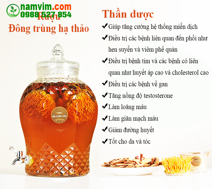Ruou Dong Trung Ha Thao Co Tac Dung Gi 