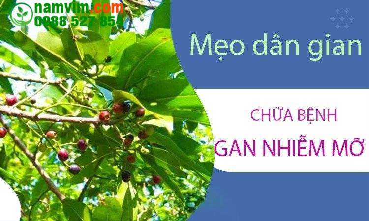 Chua Gan Nhiem Mo Tu La Voi 