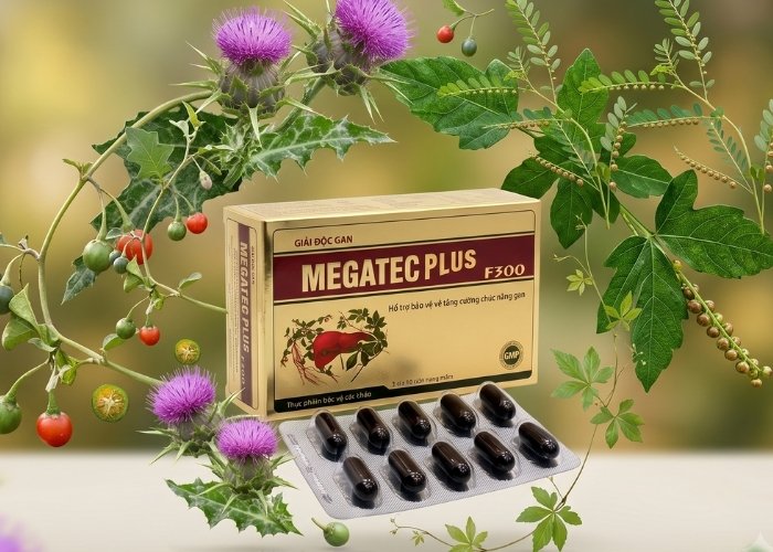 Giải độc gan Megatec Plus F300 được bào chế hoàn toàn từ thảo dược thiên nhiên