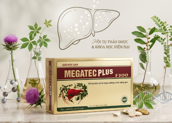 Giải độc gan Megatec Plus F300 giải pháp giúp bảo vệ gan toàn diện