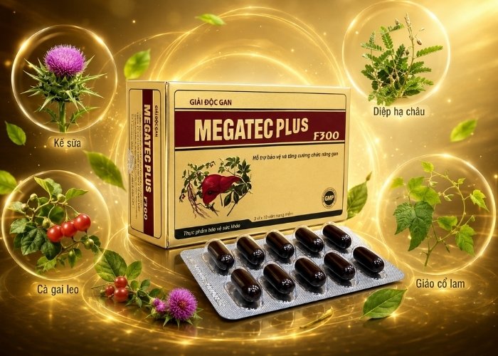 Giải độc gan Megatec Plus F300 thành phần thảo dược