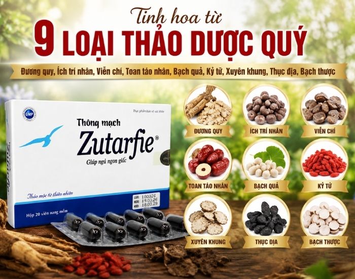 Thông mạch zutarfie thành phần thảo dược chính